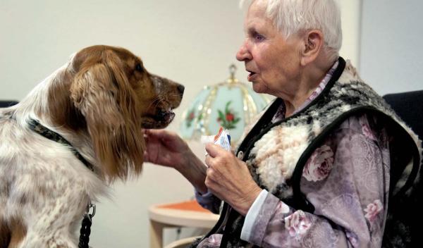 Helmut-Turck-Zentrum - Therapiehund Helmut-Turck-Zentrum - Therapiehund