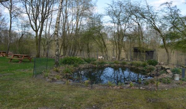 Klinik Deerth - Teich Klinik Deerth - Teich